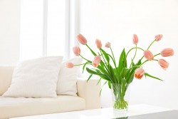 pulizie di primavera come farle