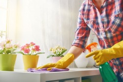pulizia di primavera da dove iniziare
