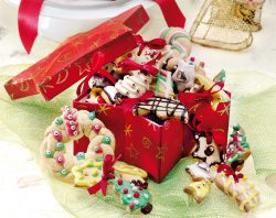 Biscotti di Natale da appendere