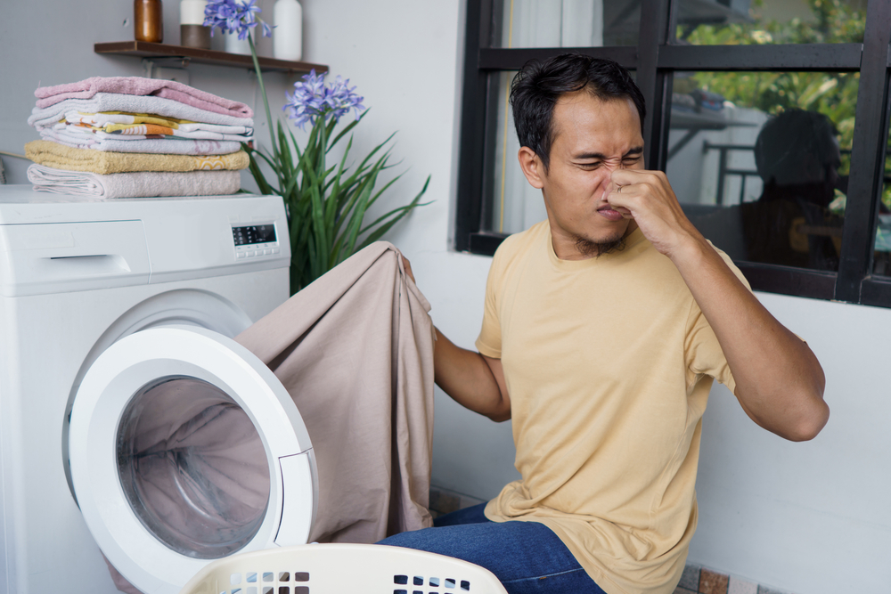 Pulire la lavatrice: farla tornare come nuova eliminando cattivi odori e  muffa