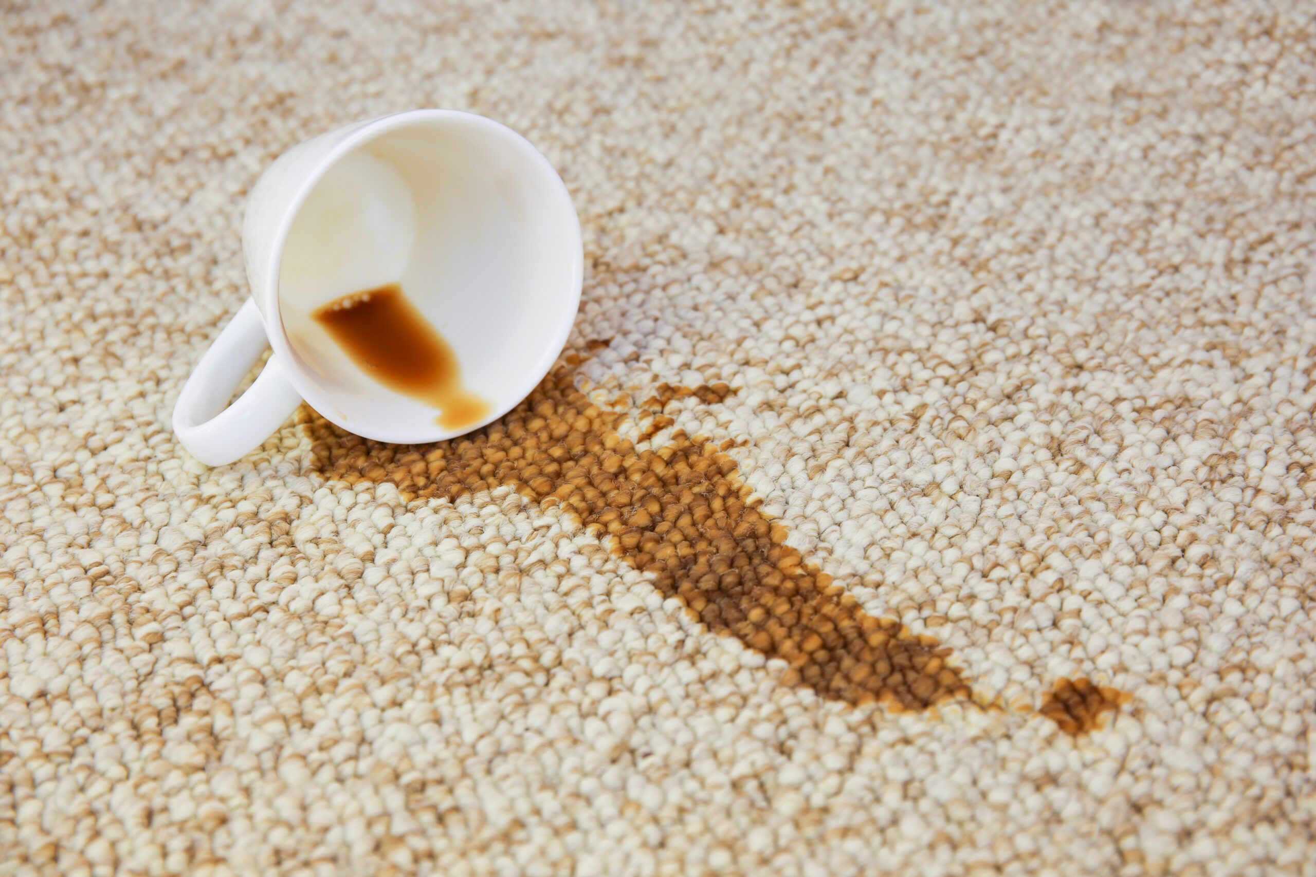macchia caffè tappeto