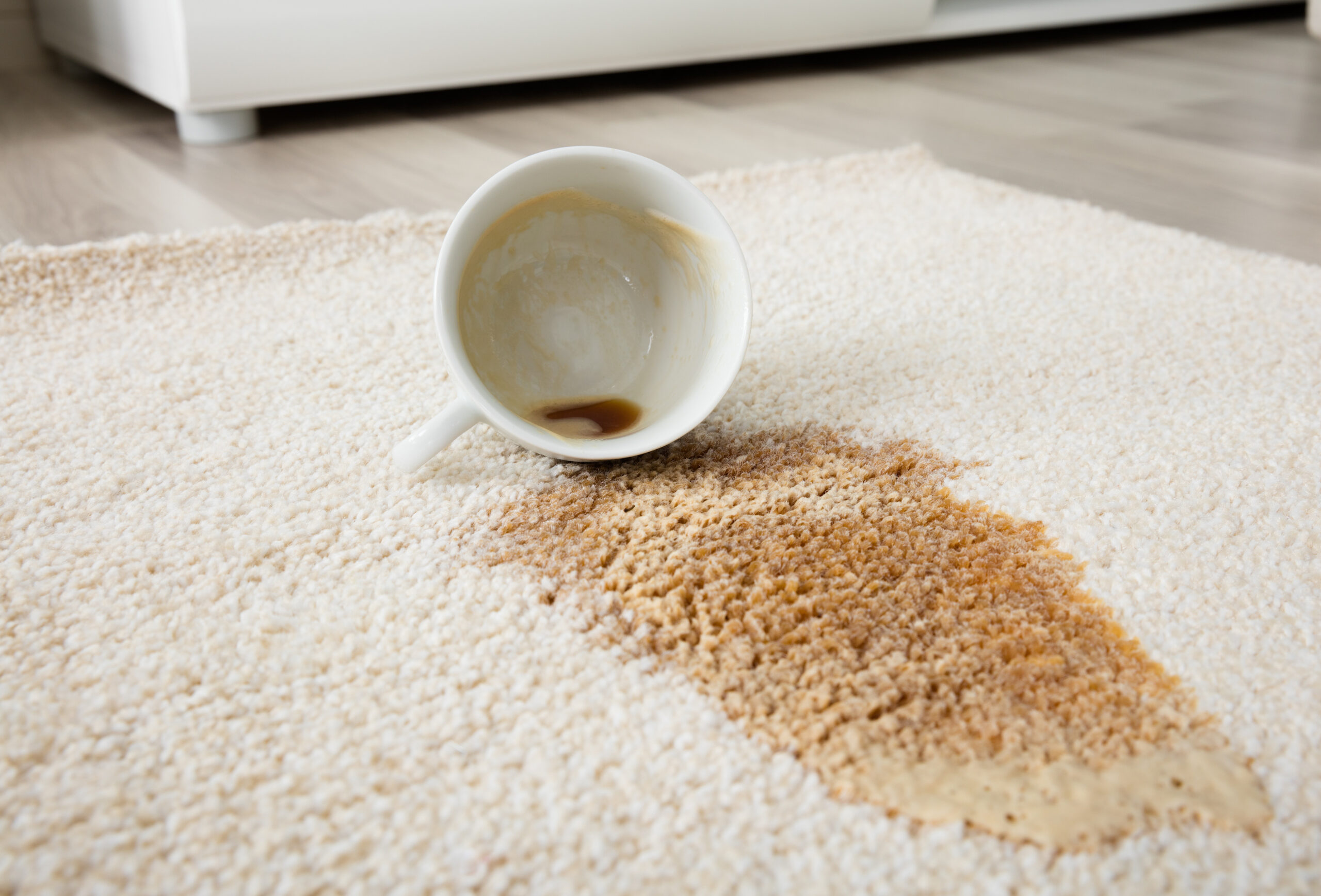 macchi di caffè sul tappeto